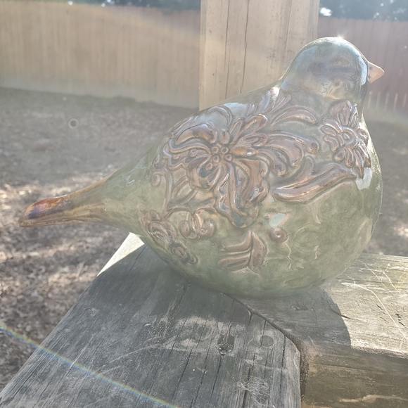 Spring Robin 🍀🐦 - Picture 5 of 6